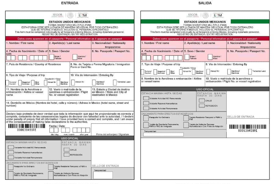 Mexico Fmm Printable Form Download